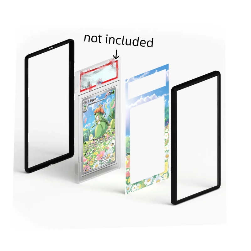Sammelkarten-Display-Box für e – Model Kit Rayquaza Bewertung und Preis